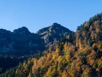 Herbstlicher Ausblick zum Hochfelln von der Bergfahrt aus